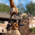 Harambe Village Acrobats