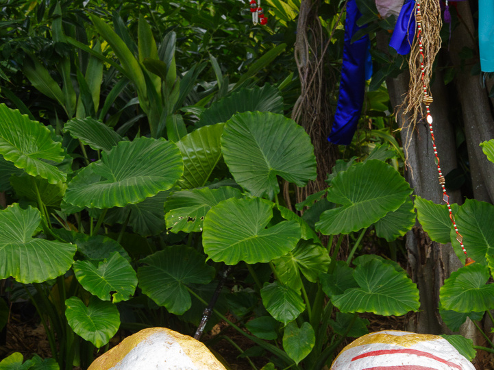 Decorations outside Up show