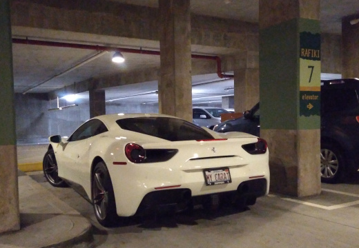 Ferrari in Animal Kingdom Lodge parking garage
