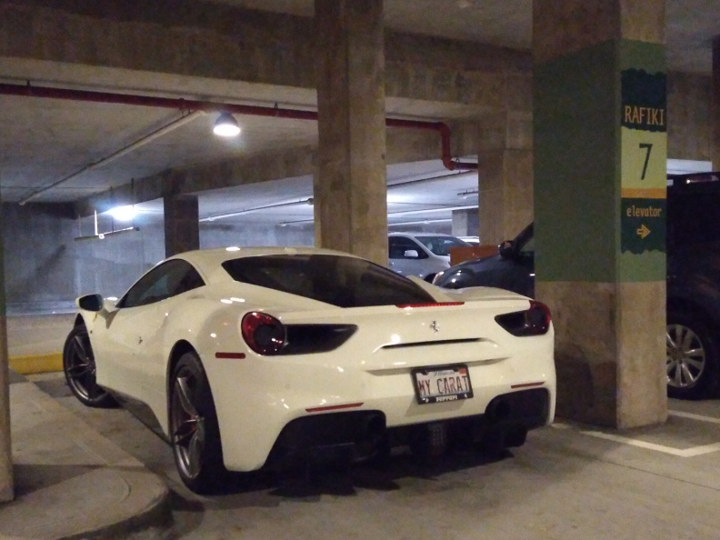 Ferrari in Animal Kingdom Lodge parking garage