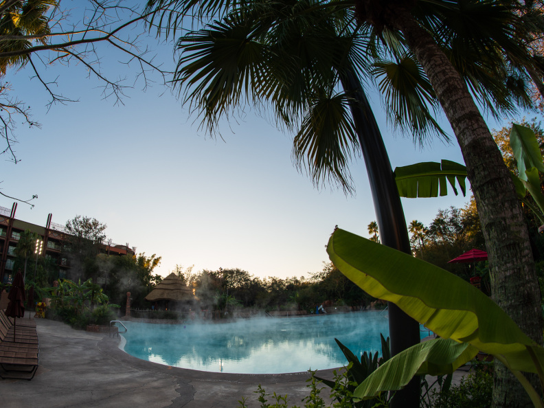 Animal Kingdom Lodge pool