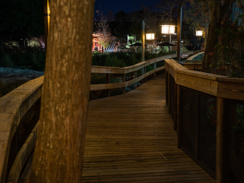 Behind Wilderness Lodge