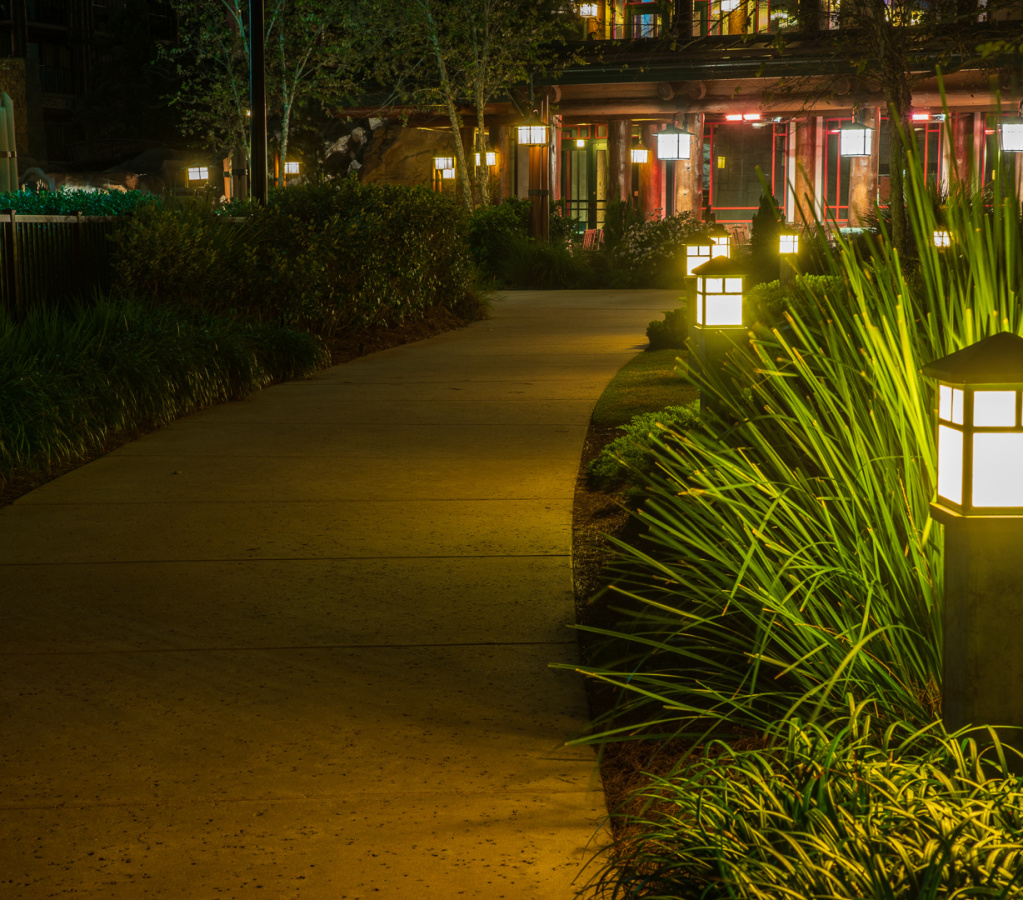 Behind Wilderness Lodge