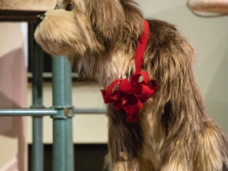 Carousel of Progress on-ride