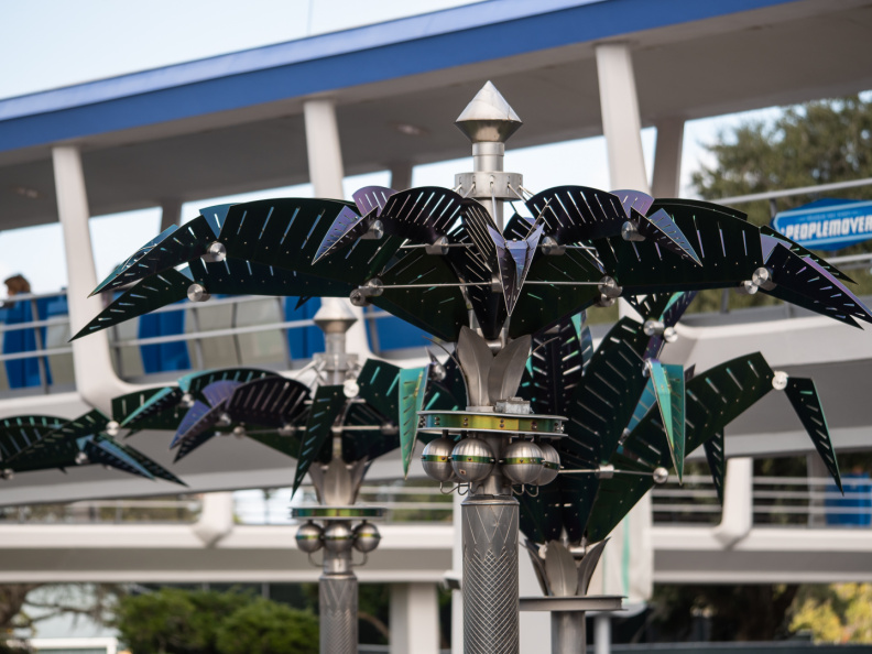 Tomorrowland palm trees