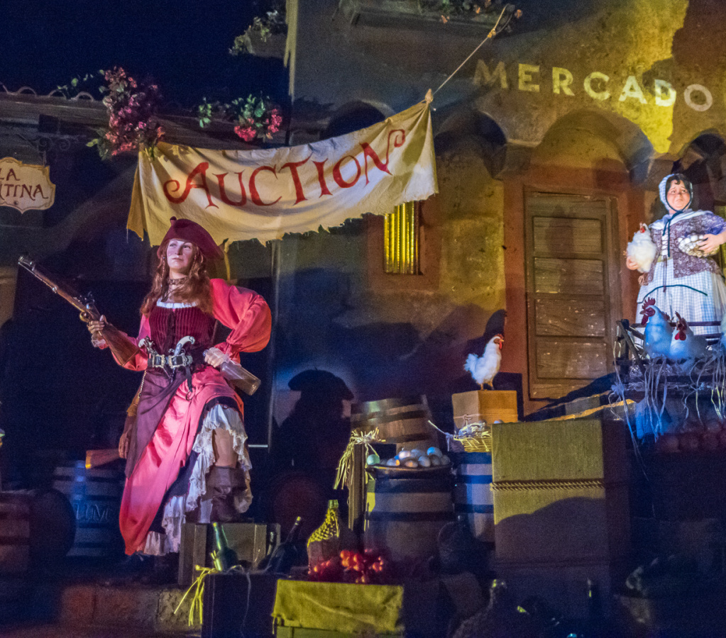 Pirates on-ride