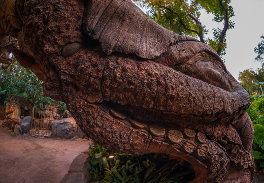 Discovery Island Trails