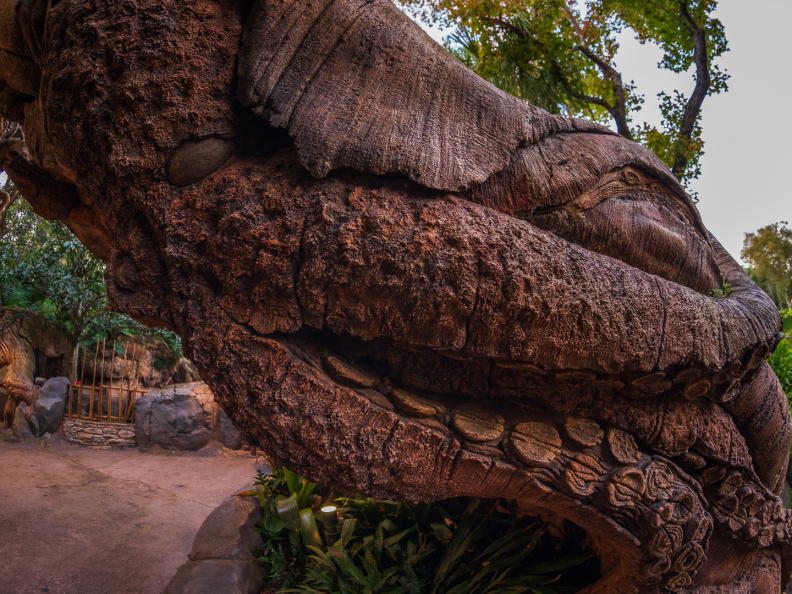 Discovery Island Trails