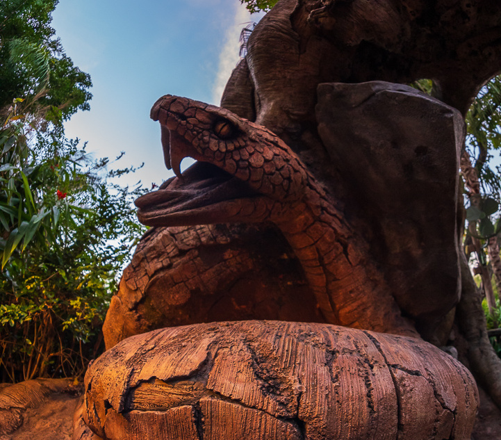 Discovery Island Trails