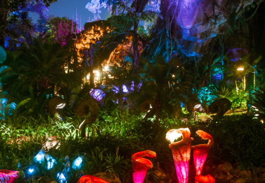 Pandora at night, yellow filter