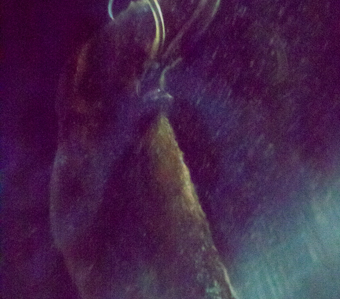 Spaceship Earth on-ride