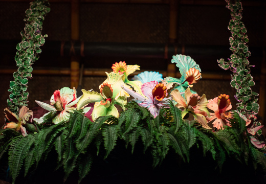 Enchanged Tiki Room birds